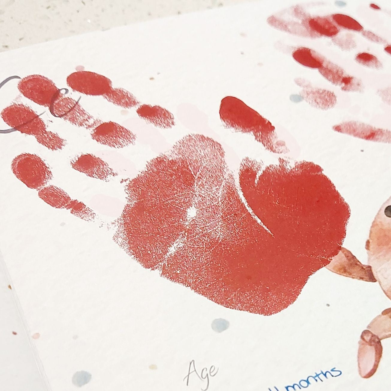 Little Paws Big Memories ABC Animals baby handprint and footprint keepsake memory book kit. Newborn baby gift idea, baby shower gift idea. Christening present. Baby handprint crab legs