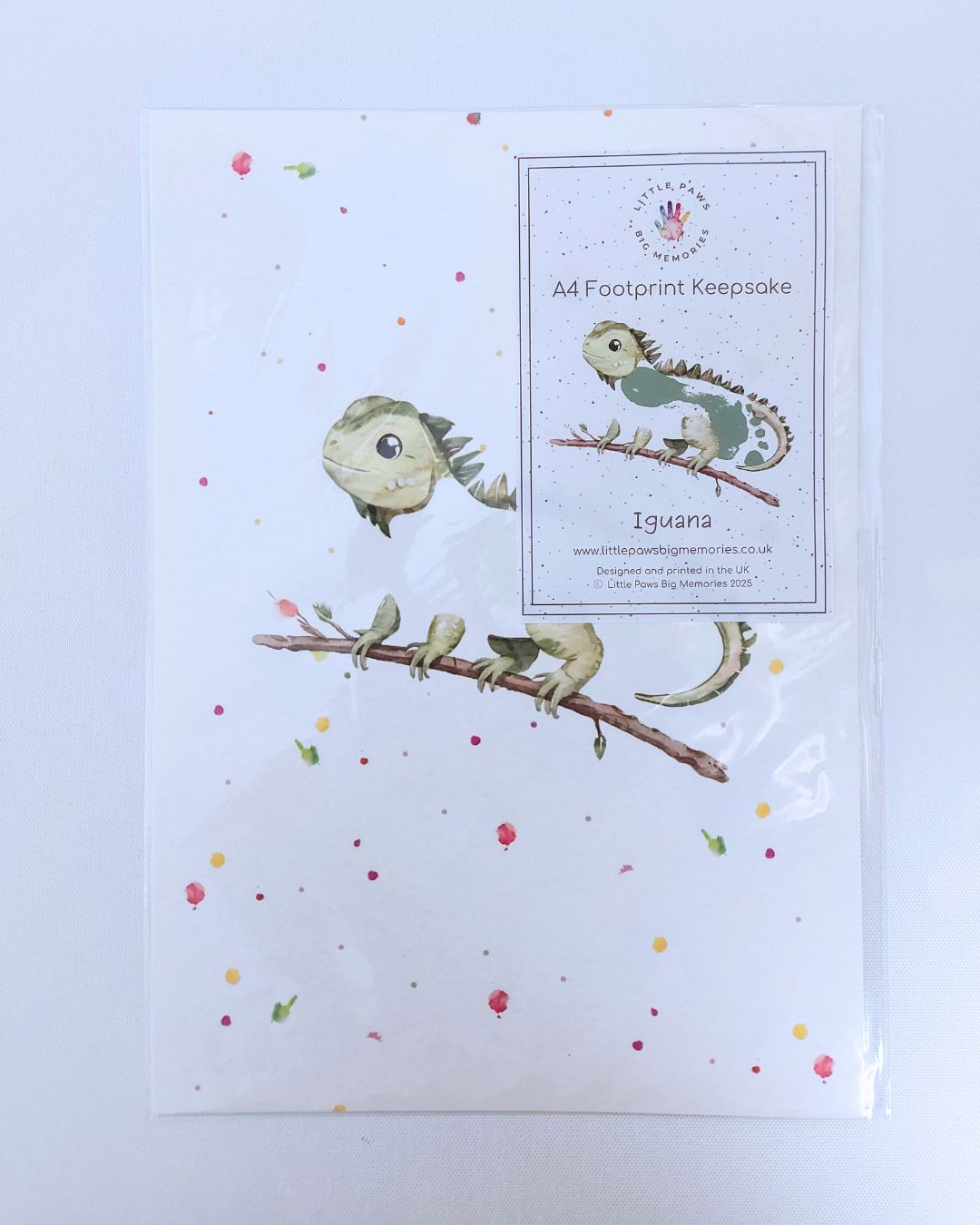 Illustration of an iguana on A4 luxury textured card. With space for baby's footprint.