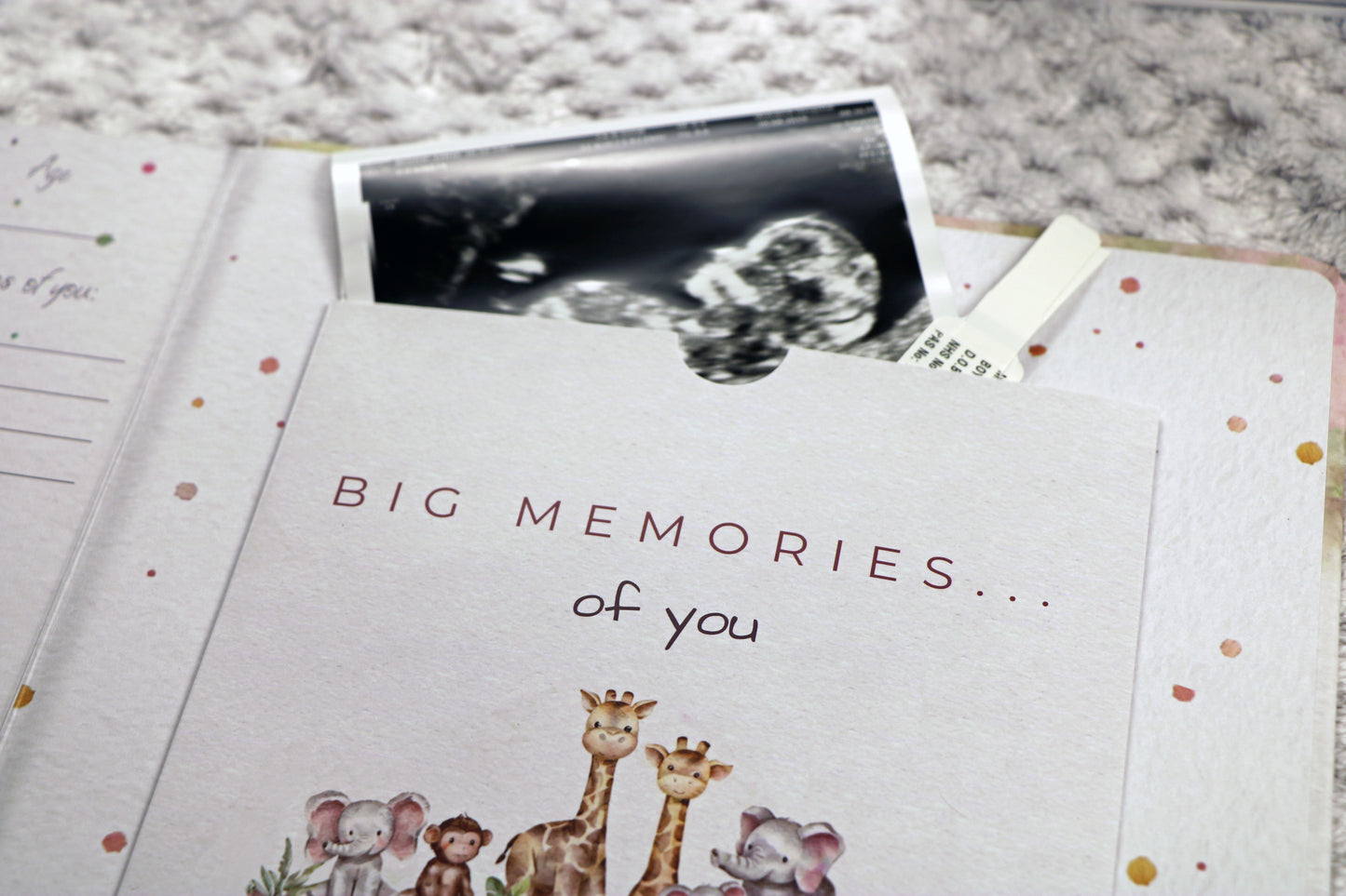 Little Paws Big Memories ABC Animals Keepsake Pocket at back of the book. Baby scan photo and hospital name tag tucked into the keepsake pocket for memories. Text reads 'Big memories of you'